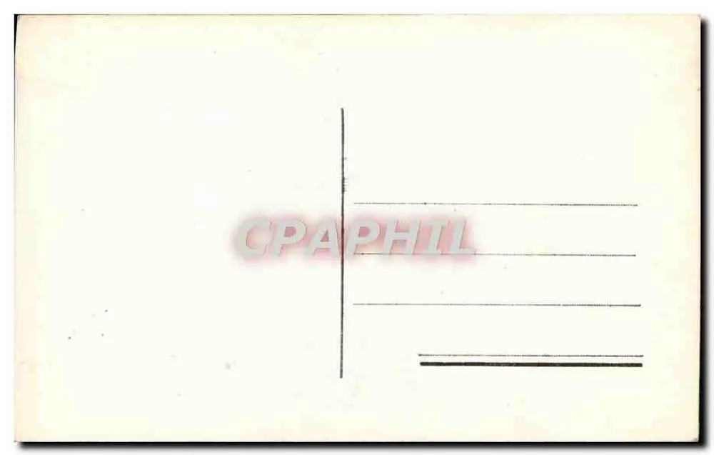 Rosa viola — dettagli floreali — PHOTO AR1, n° S1/13 - Verso