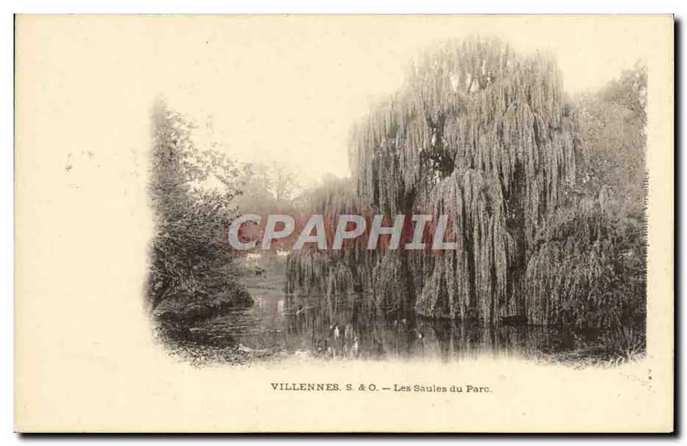 Villennes-sur-Seine — I Salici del Parco — VILLENNES. S & O. - Recto