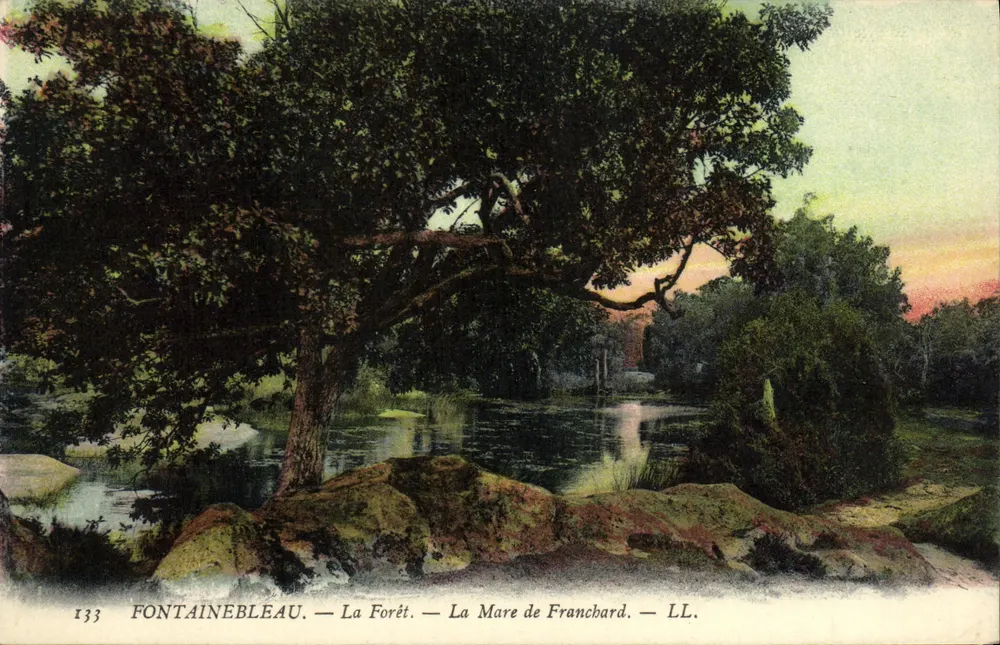 Fontainebleau — Die Wälder — La Mare de Franchard — LL. — n° 133 - Vorderseite