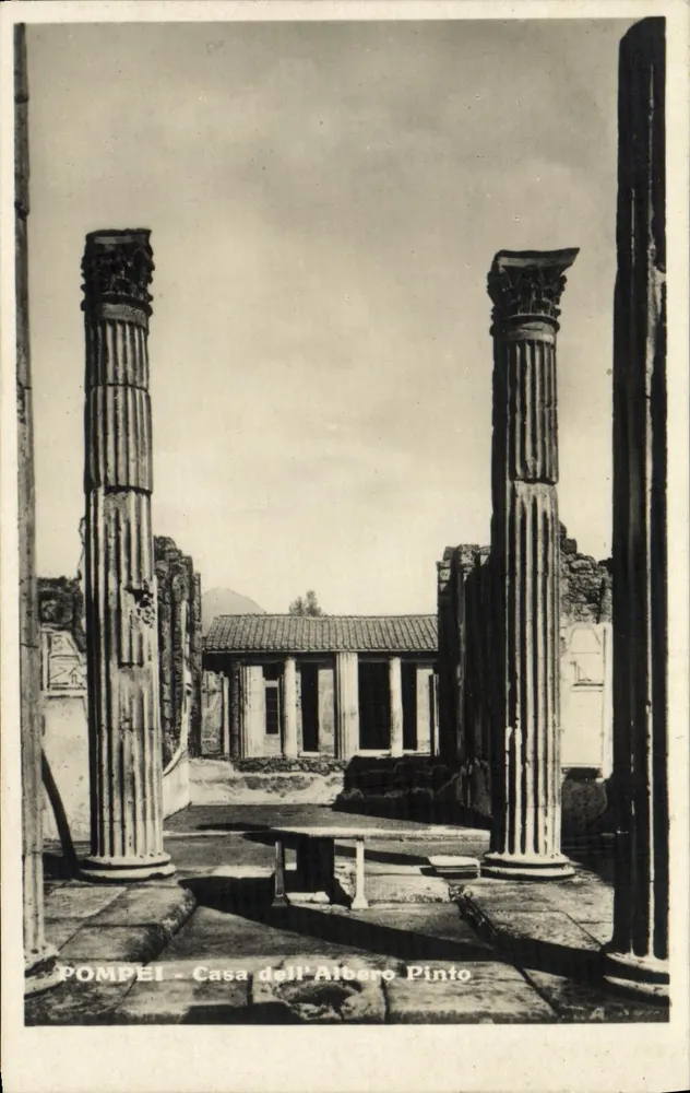 Pompeia - Casa dell'Albero Pinto — editor Domenico Trampetti, Nápoles - Frente