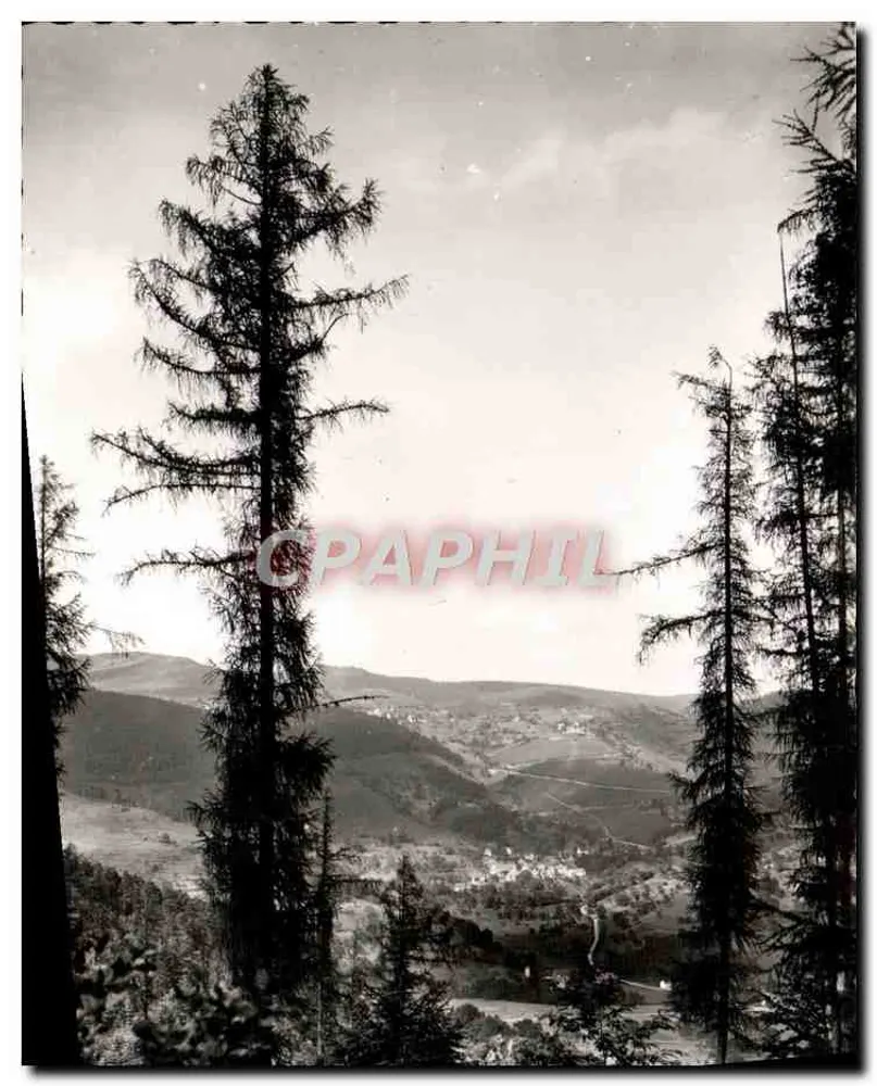 Die Tal von Munster — Ansicht von Honroberg — Photo Théodore (Haut-Rhin) - Vorderseite
