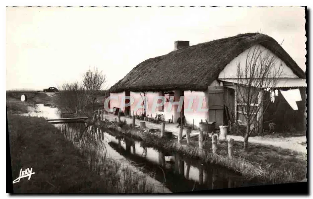 Uma casa com telhado de colmo — na margem de um canal — JELY - Frente
