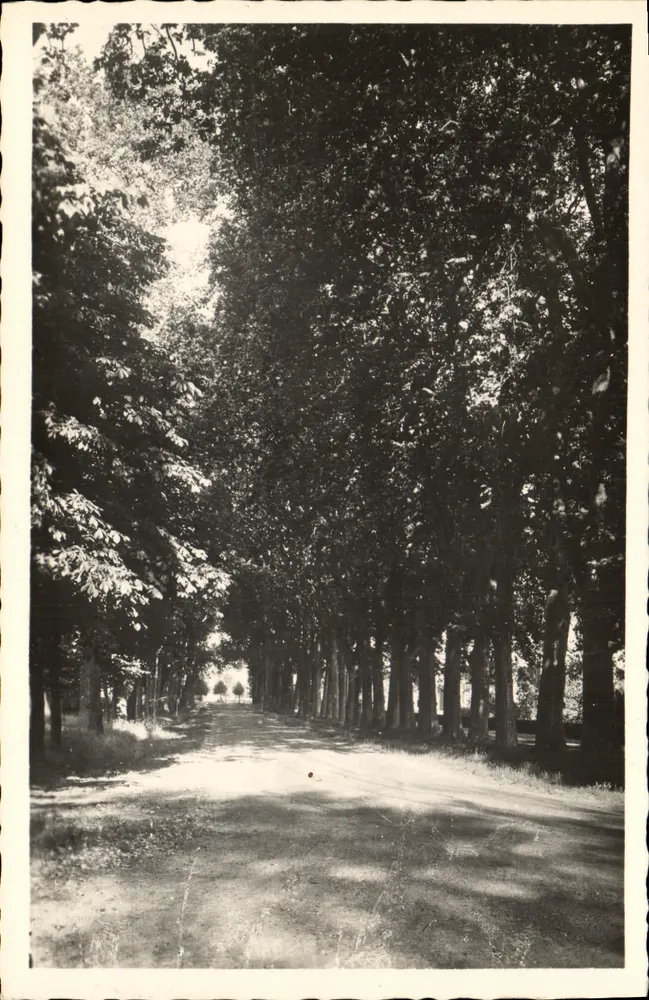 Richelieu (I.-et-L.) — De Promenades — Ed. A. Robin, boekhandelaar - Voorkant