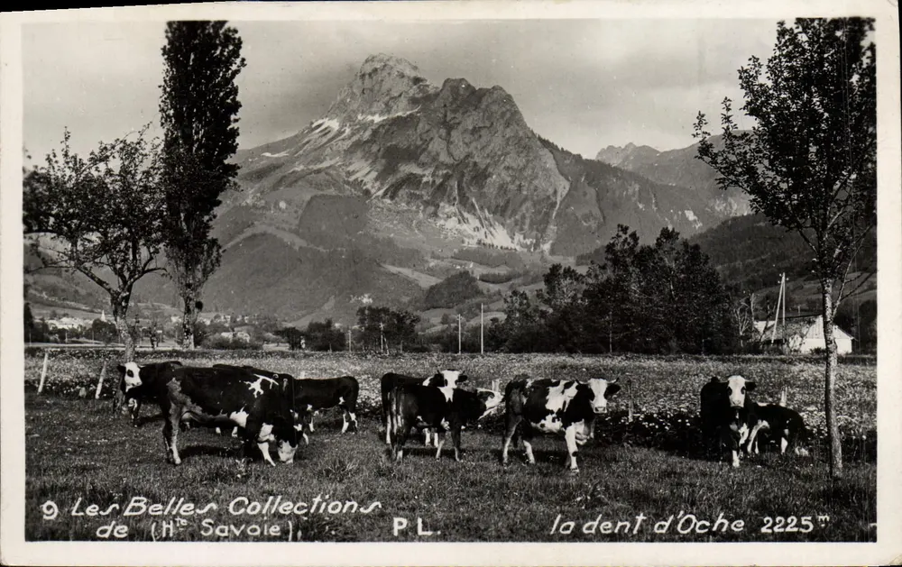 De Mooie Collecties van (H. Savoie) — La dent d'Oche 2225m — P.L. - Voorkant