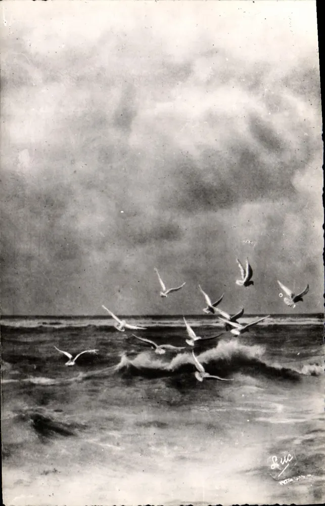 Voo de gaivotas — Fort Mahon (Somme) — Edições D'ART - Luc, n°356 - Frente