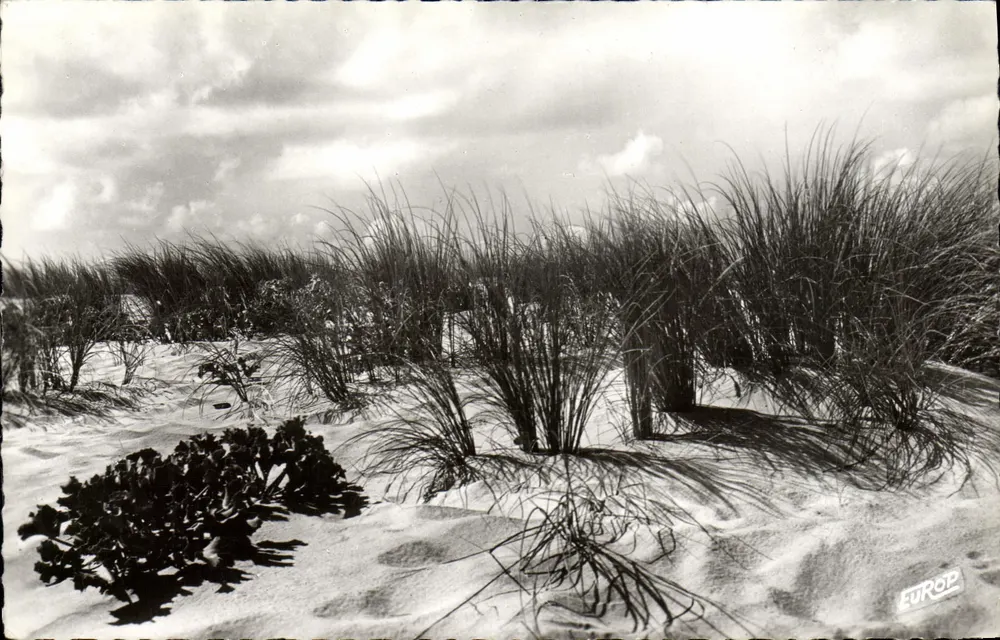 Dunas de areia — praias — Edição da Europ, n° 752 - Frente