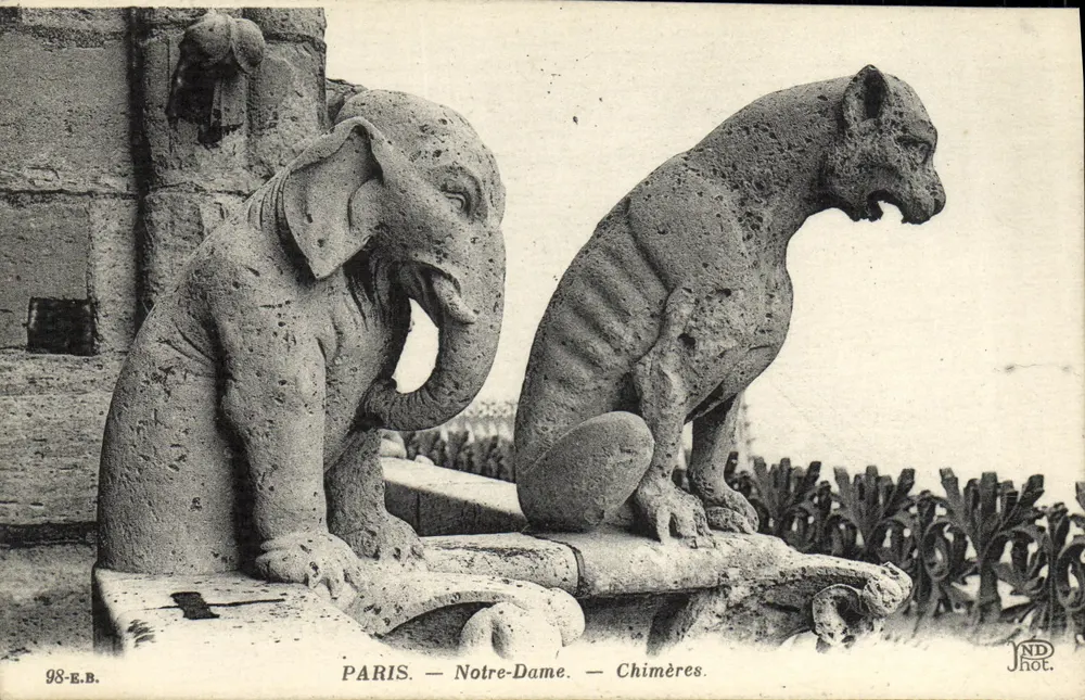 Paris — Notre-Dame — Chimères — JNDhot. - Frente