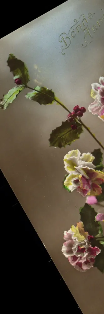 Flores de hortência e margaridas — Boa Ano — Frente e verso datado 24 de dezembro de 1917 - Frente