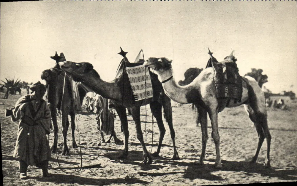 Camelários no Saara — Georges Lang, Paris - Frente