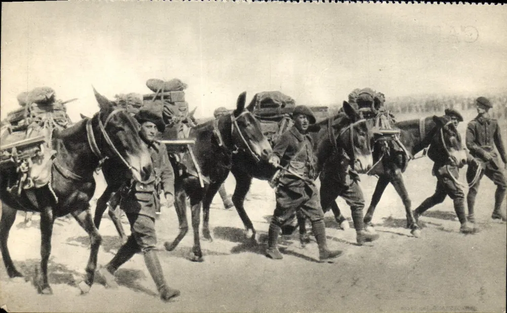 Soldats et mules chargées — Section de mitrailleuses alpine — éditeur impr. MAJZON - Vorderseite