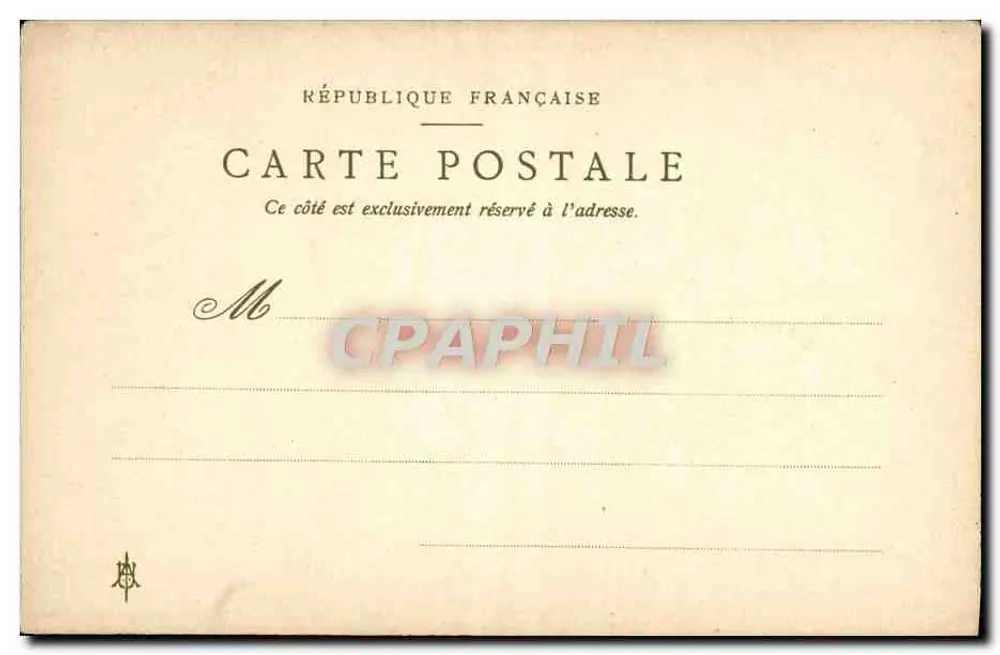 Narciso Jonquilla — ilustração botânica — E.A. Jonquille - Verso