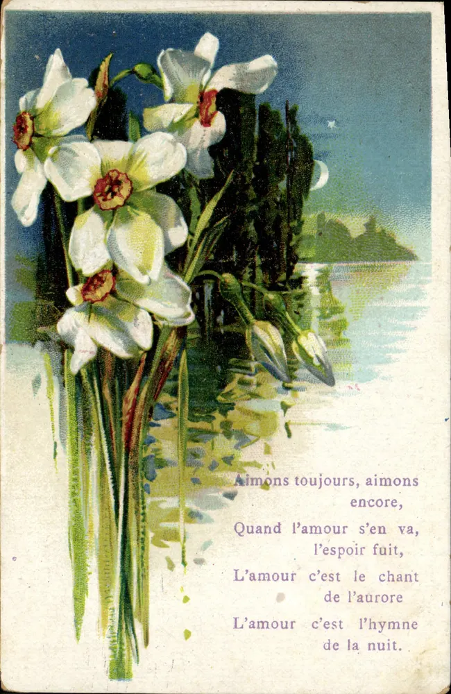 Buquê de narcisos — poema sobre o amor — editor não visível - Frente