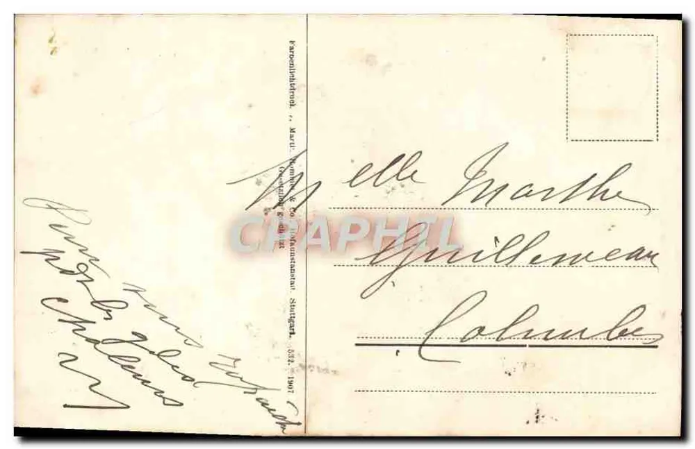 Fleurs de viorne blanche — édition non identifiée — timbre 5c vert - Rückseite
