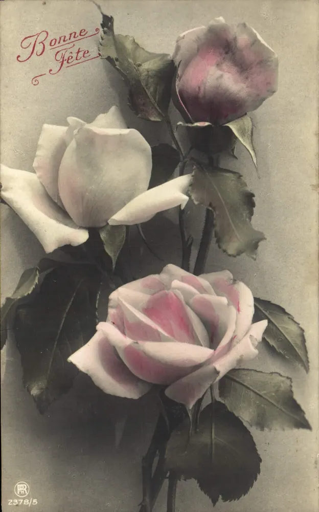 Rosen — Karte zum Gruß — Verleger R. 2378/5 - Vorderseite