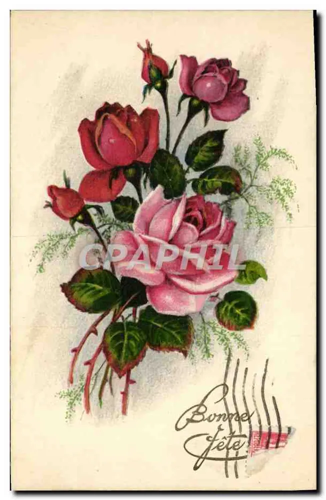 Rosengewächs — Frohe Geburtstagsgrüße — G.P. LaRose - Vorderseite