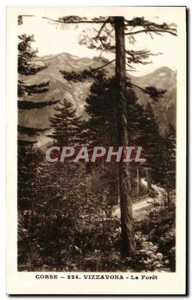 Córsega - 224. Vizzavona - A Floresta - Frente