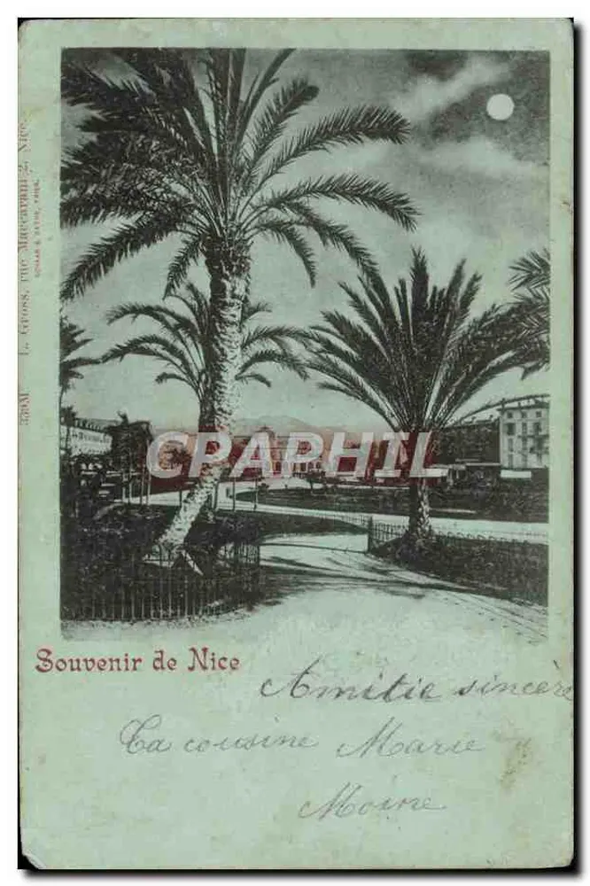 Palmiers sous la lune — Souvenir de Nice — éditeur Le Croos, Nice, n° 2058 - Frente