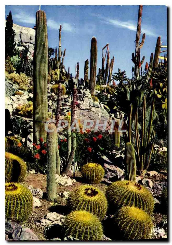 Jardim exótico — A Costa Azul — Éditions Bella Nice - Frente