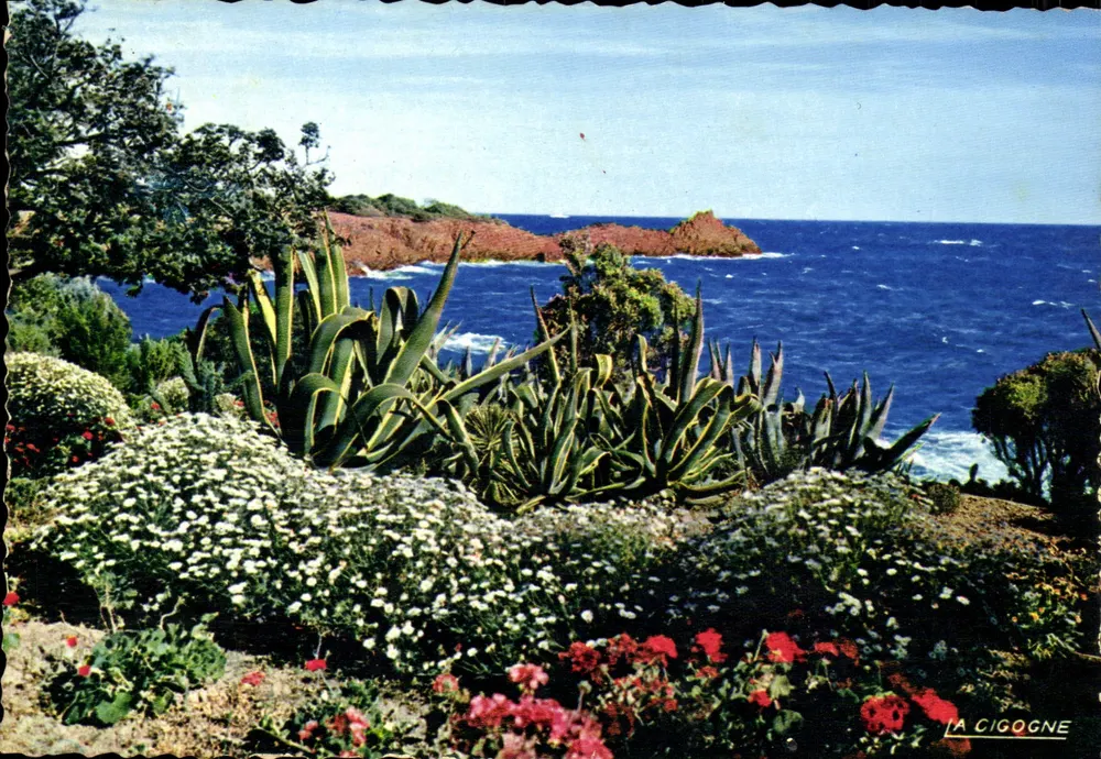 La Cigogne — Vista sobre el mar — Editor La Cigogne, n° 06.000.10 - Anverso