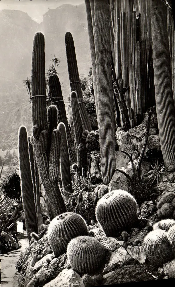 Jardins exóticos — A Costa Azul — Editor: Z. GILLET & Cie - Frente