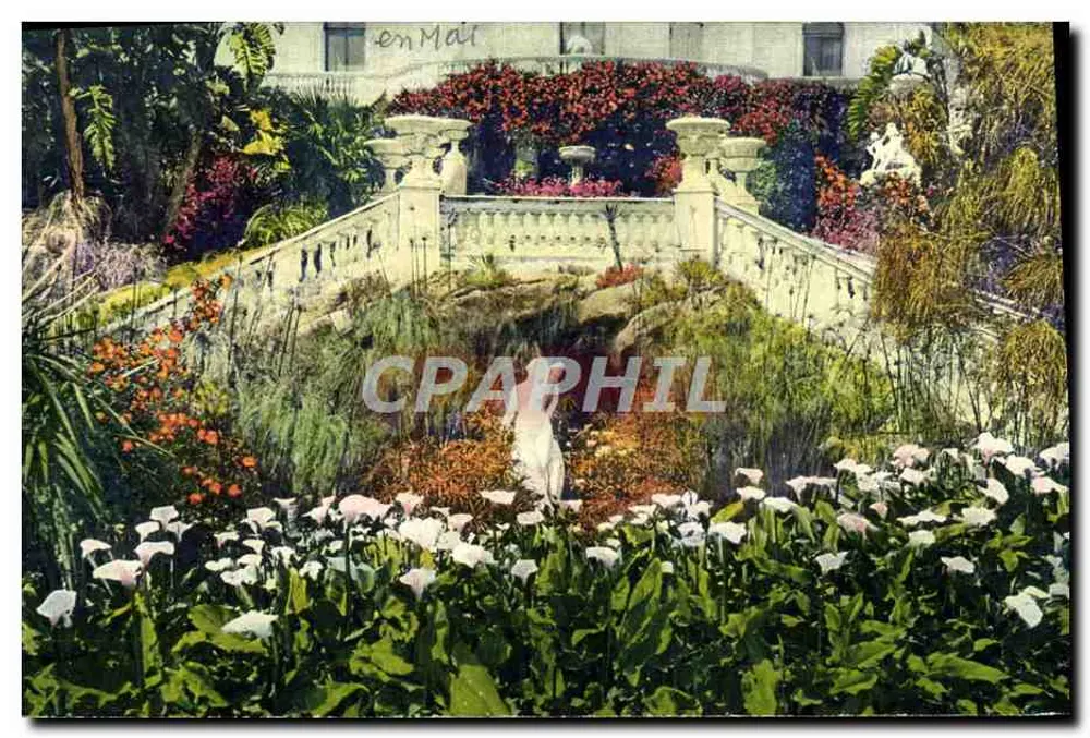 Blühender Garten in Nice — Ein Stück der Côte d'Azur — Verlag Rostan & Peneaud, Nr. 1027 - Vorderseite