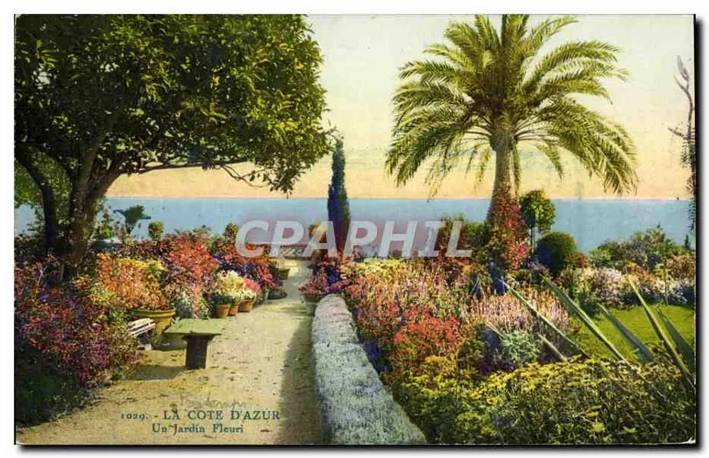 A Costa do Azul — Um Jardim Florido — Rostan & Peneaud, edição em Nice, n° 1029 - Frente