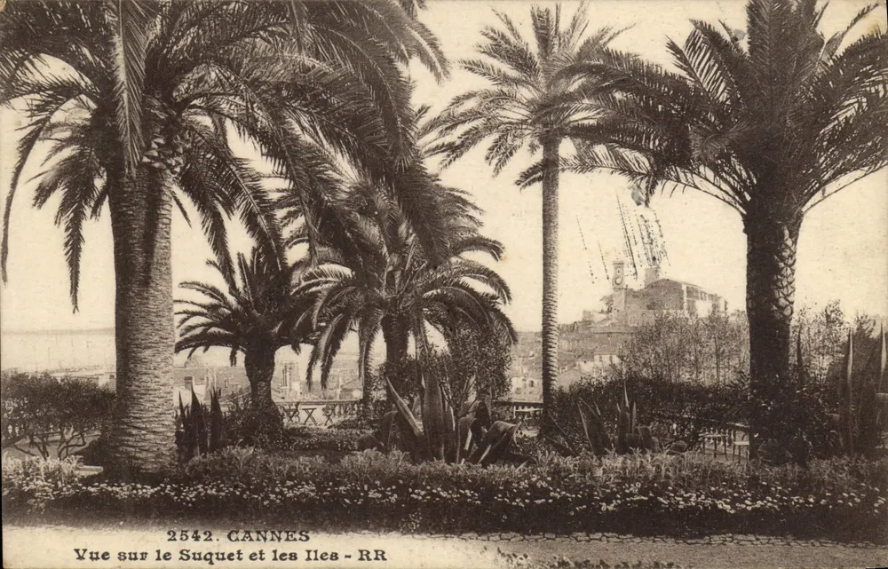 Ausblick auf den Suquet und die Inseln - Cannes — RR, n° 2542 - Vorderseite