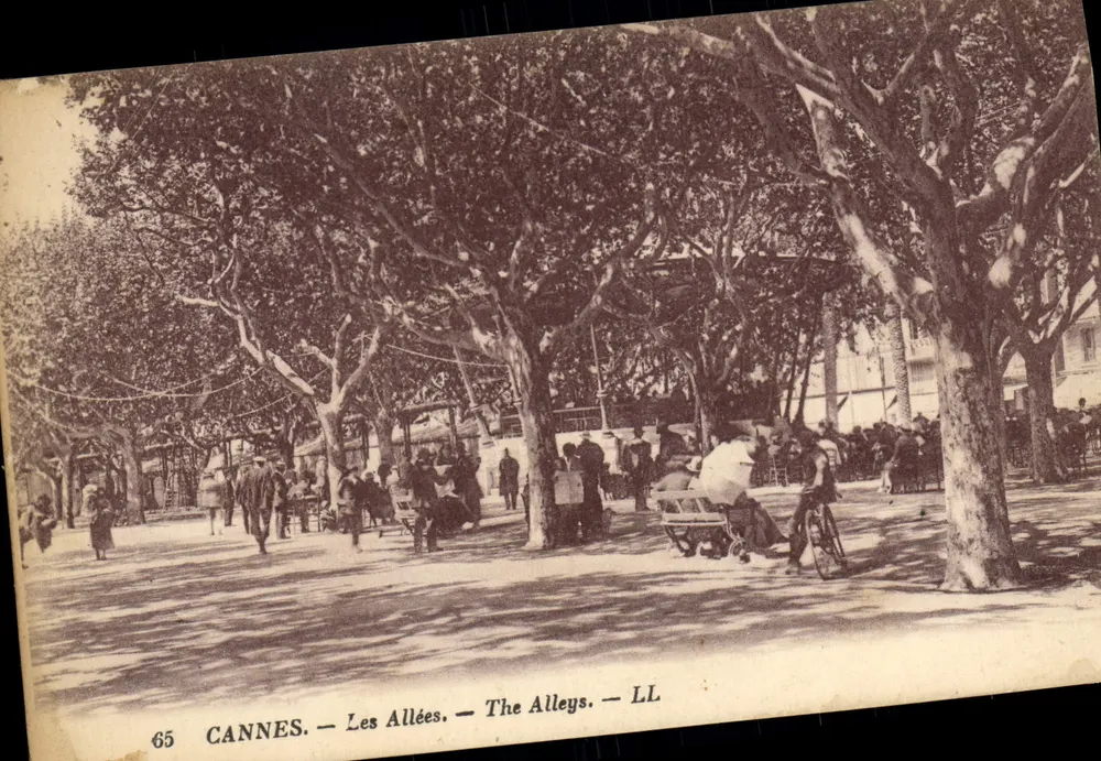 CANNES — As Avenidas — LL - Frente
