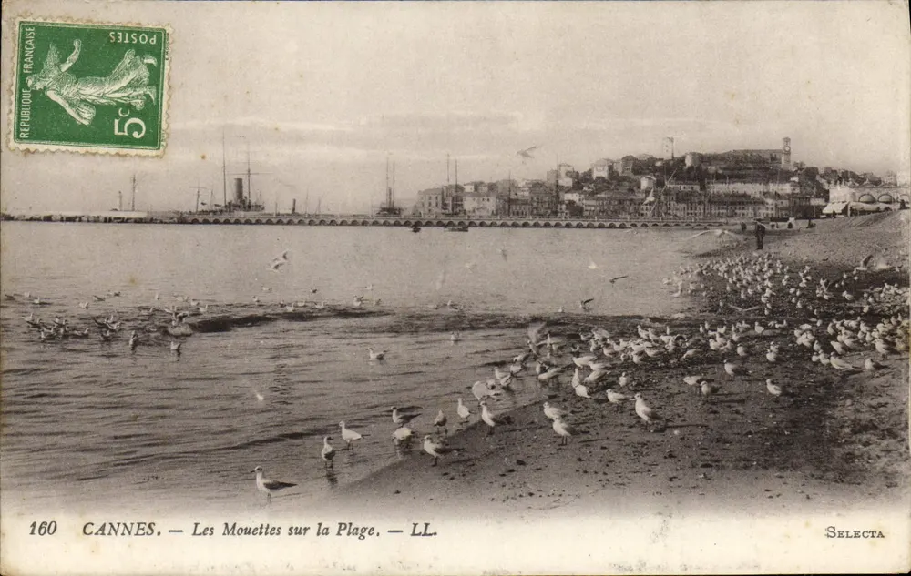 CANNES — As Garças na Praia — LL. — Selecta — n° 160 - Frente
