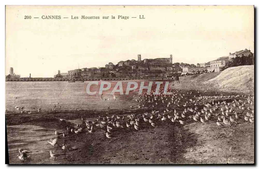 CANNES — As Garças na Praia — LL - Frente