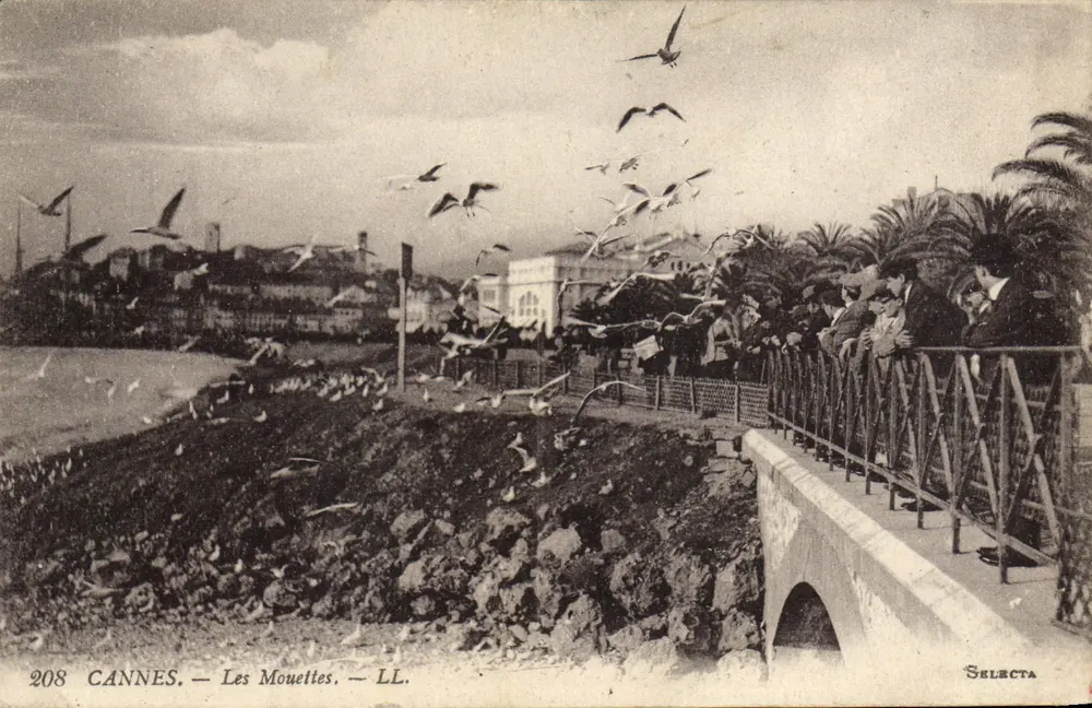 Cannes — As Garças — Selecta, n°208 - Frente