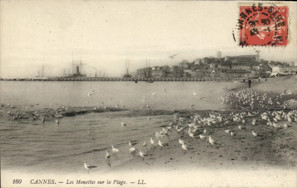 CANNES — As Garças na Praia — N° 160 - Frente