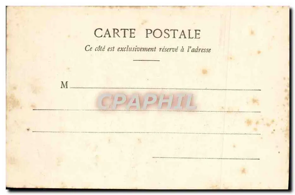 CANNES - Pins de la Bocca — vue des pins maritimes caractéristiques, éditeur Édouard Gillier, n° 433 - Rewers