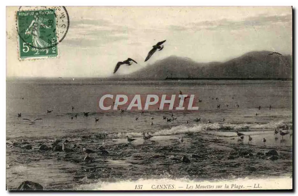 CANNES — As Garças na Praia — LL. — N° 137 - Frente