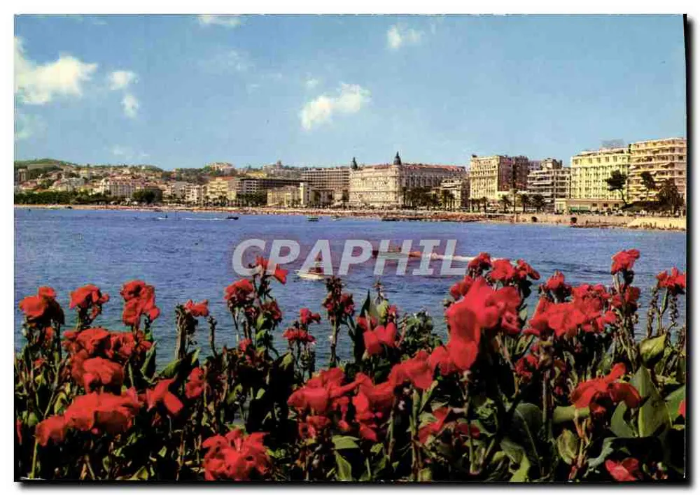 Cannes — Vista geral sobre a Croisette — Edições d'Art RLT, Nice - Frente