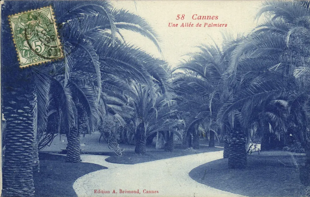 Cannes — Uma Avenida de Palmeiras — Edição A. Brémont, Cannes - Frente