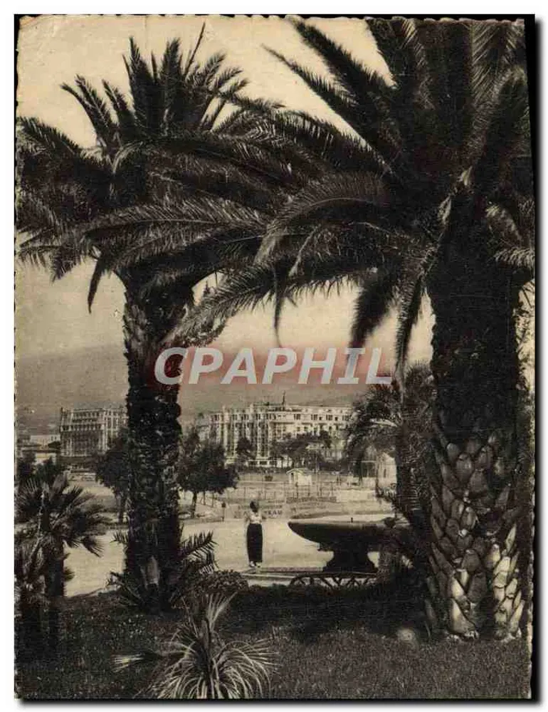 Cannes — O Parque Albert-Ier — Editora Héloïse Antes - Frente