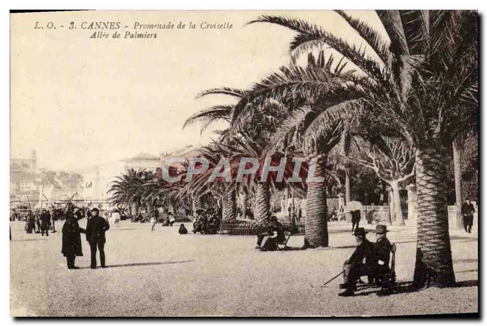 Cannes - Promenade de la Croisette - Allée de Palmiers - Vorderseite