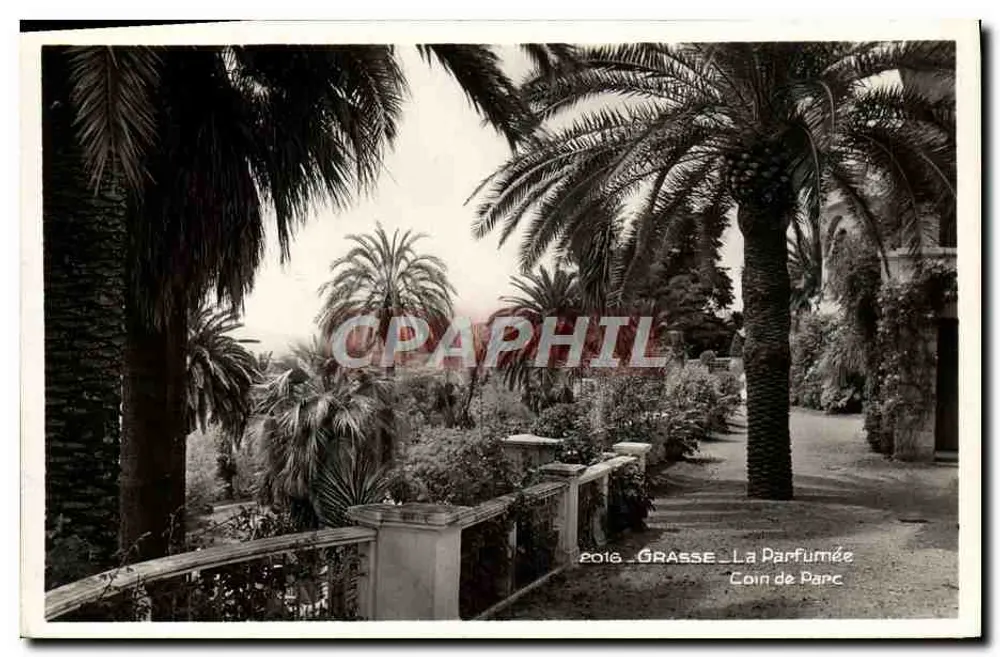 Grasse - A Perfumada - Canto do Parque - Frente
