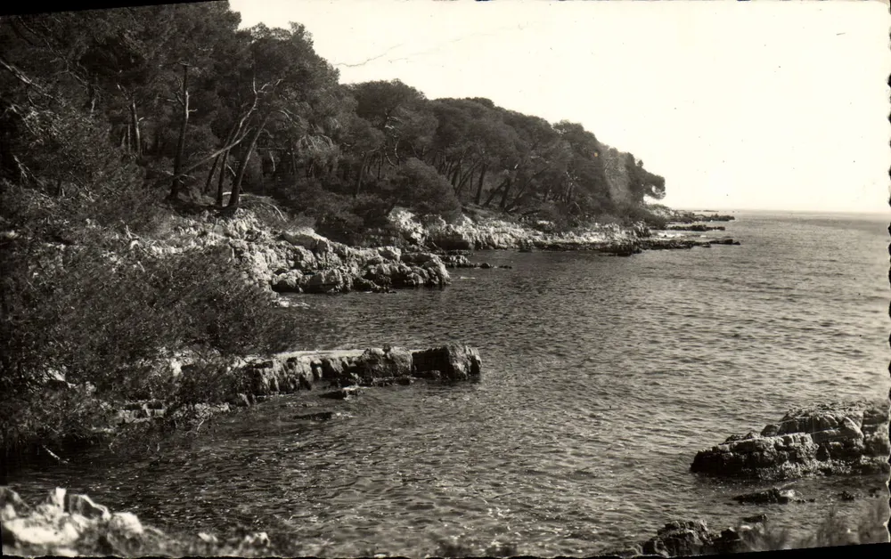 Cannes — La Potinière — Éditions Françaises - Vorderseite
