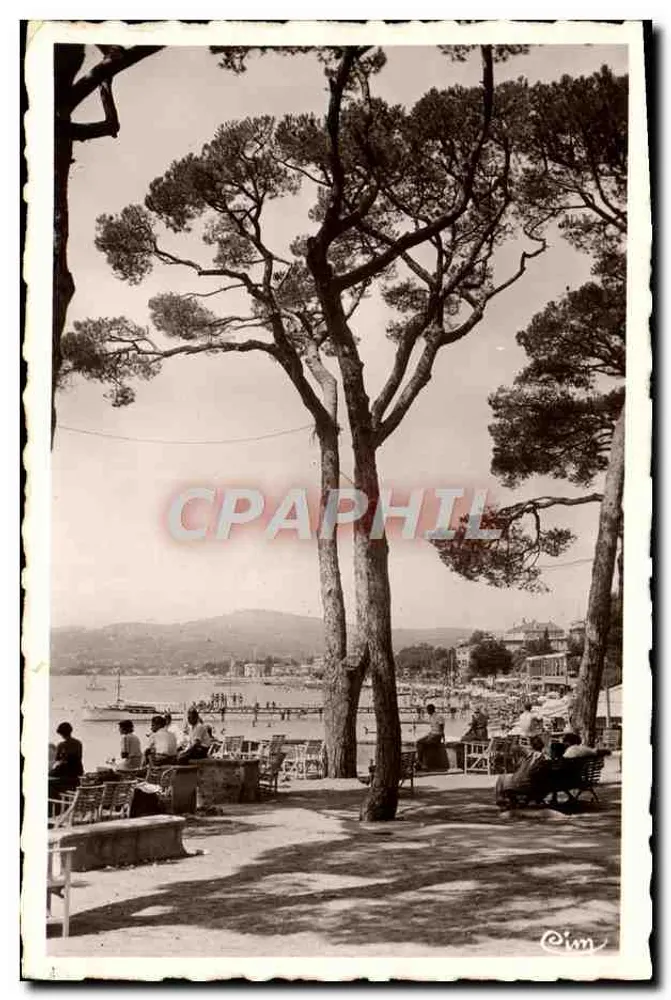 Juan-les-Pins — Blick auf den Strand vom Pinienhain — Im - Vorderseite