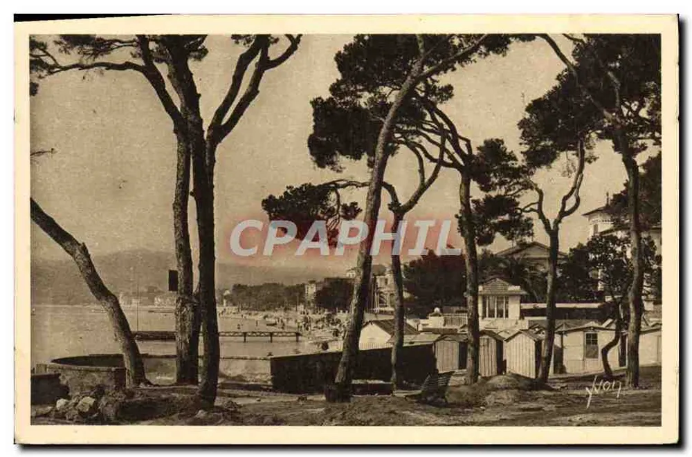 Juan-les-Pins — Vista através dos Pinheiros — editor Yvén, n°341 - Frente