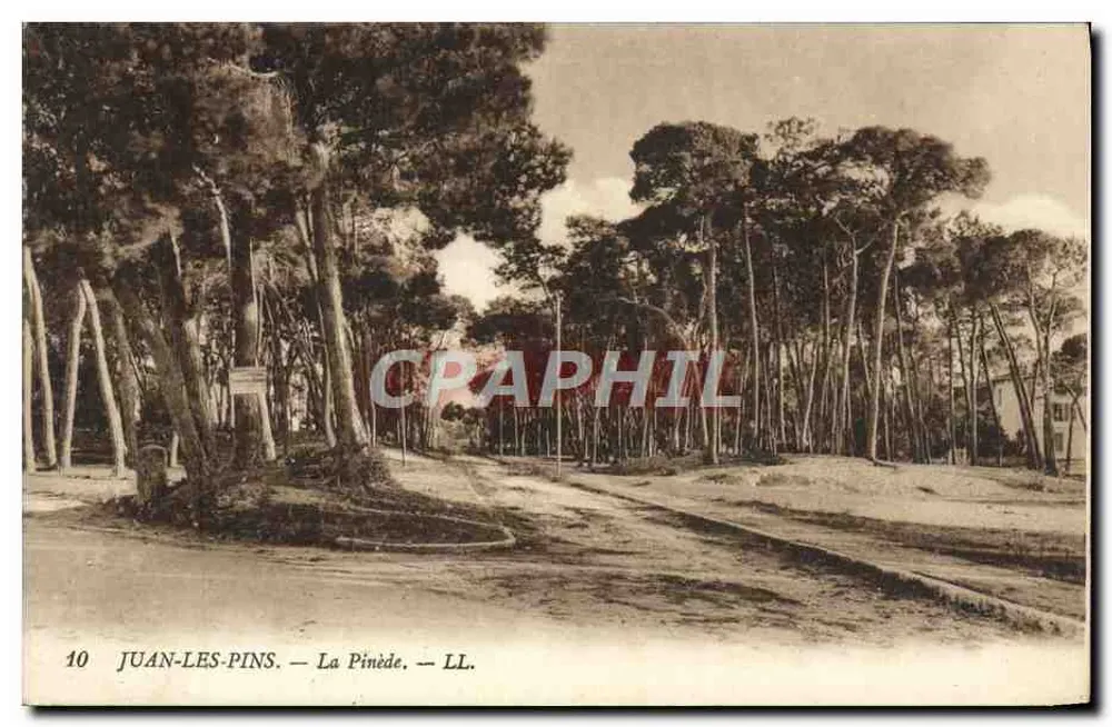 Juan-les-Pins — A Pinède — LL. — n°10 - Frente
