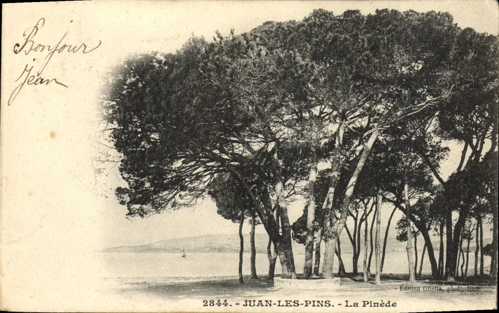 Juan-les-Pins - A Pinède — Edição Giletta, fot. Nice, n° 2844 - Frente