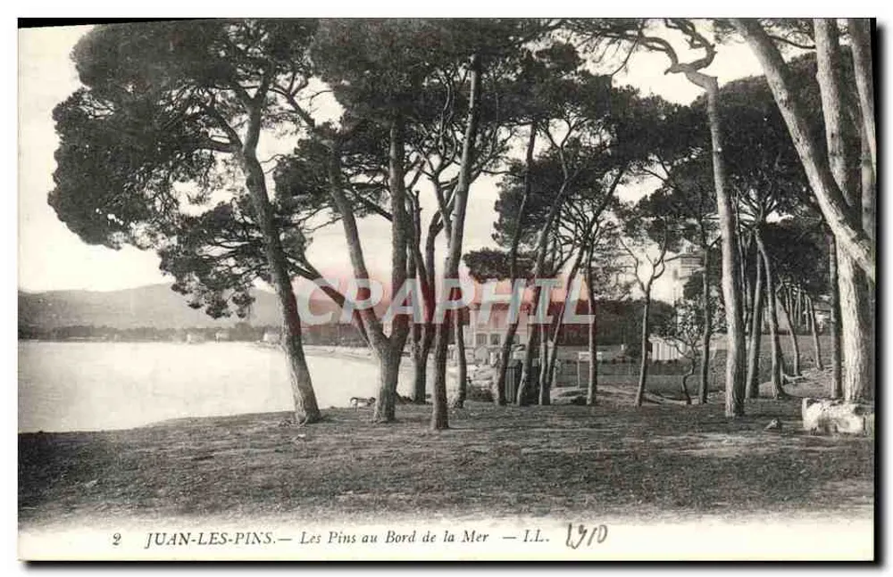 Juan-les-Pins — Die Pines am Meer — I.L. — 1910 - Vorderseite