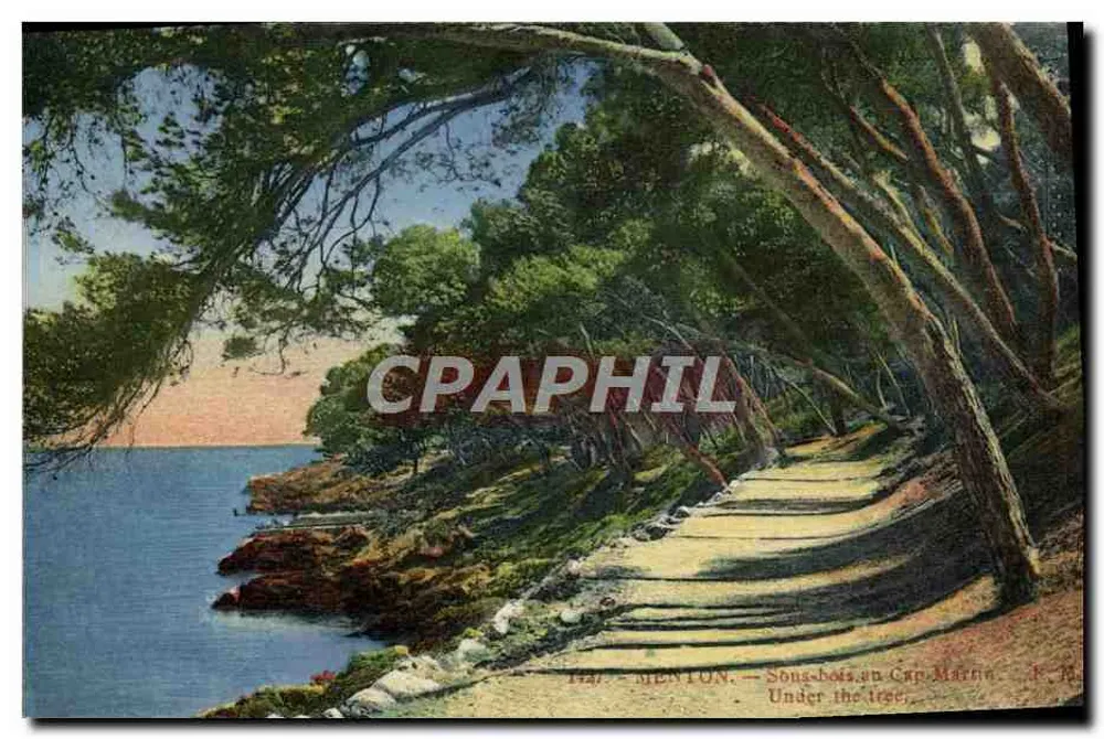 Menton — Sous-bois au Cap Martin — Vista sob a árvore — Edições Rostan et Munier, Nice - Frente