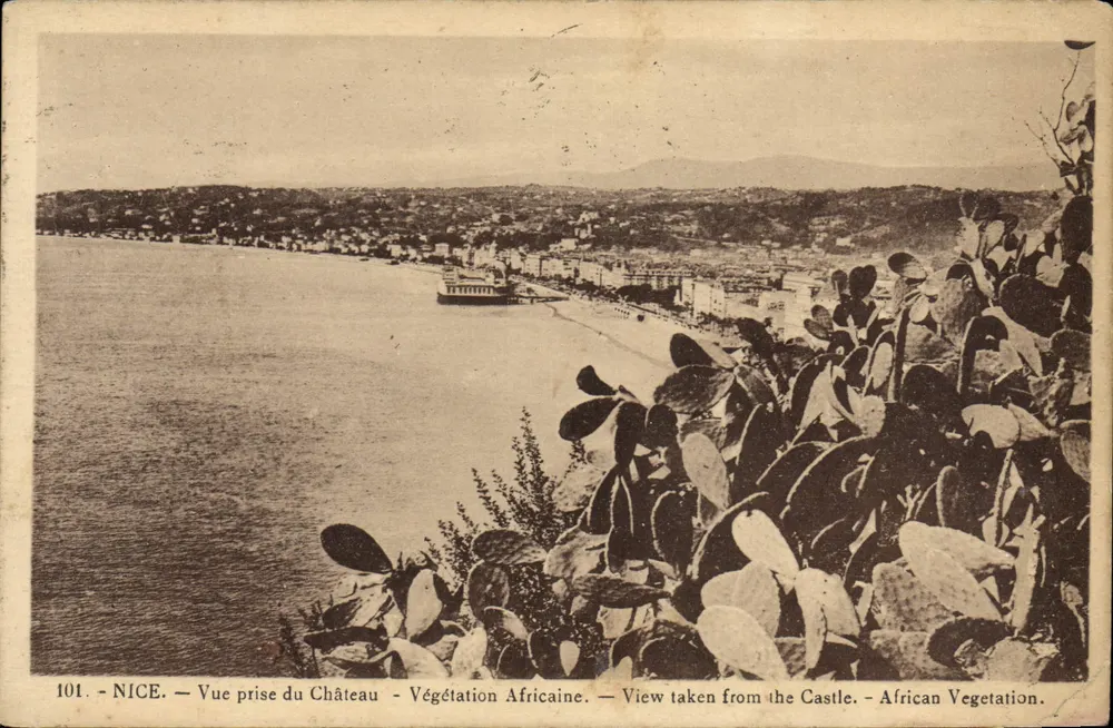 Nice — Vue prise du Château — Végétation Africaine — Éditeur : 101 - Vorderseite