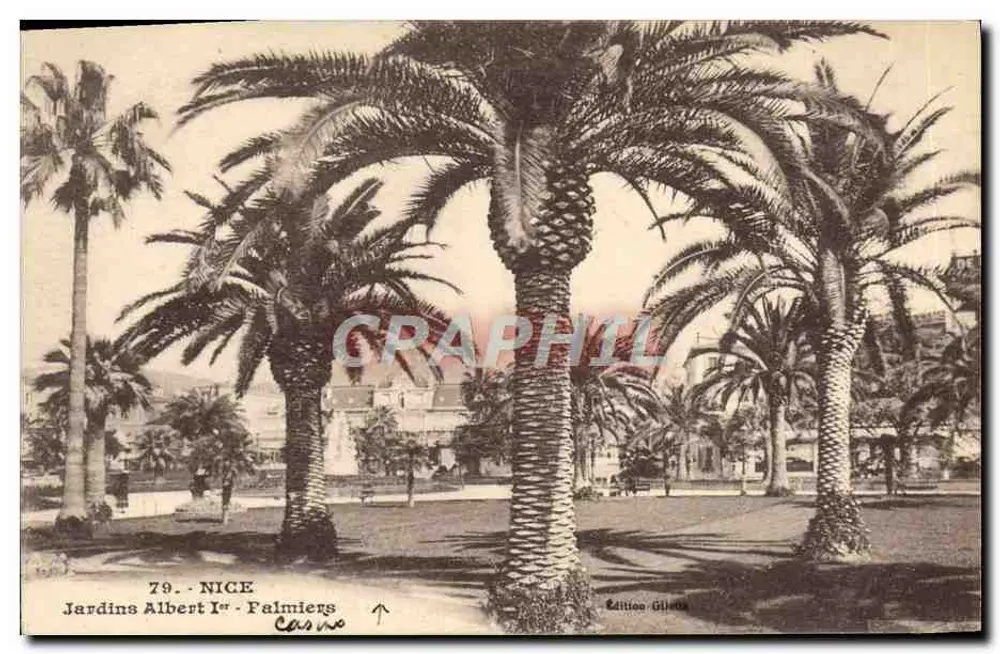 Nice - Jardins Albert Ier - Palmeiras — Edição Gilles, n°79 - Frente