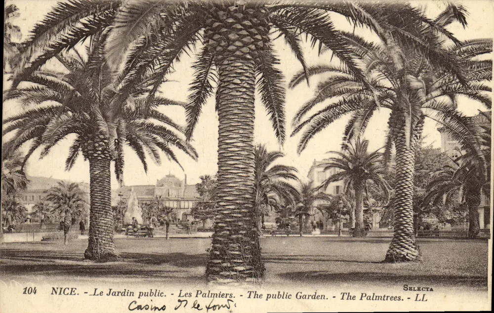 Nizza - Il Giardino pubblico - I Palme - SELECTA LL n°104 - Recto