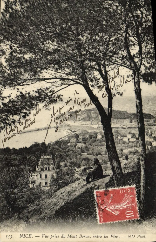 NICE - Ansicht vom Mont Boron zwischen den Kiefern - ND Fot. Nr. 3553 - Vorderseite
